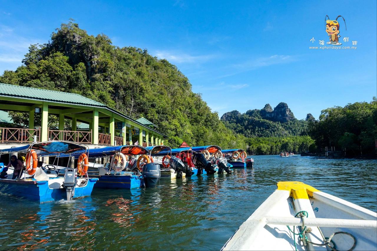 Jelajahi Hutan Bakau Langkawi yang Eksotis dengan Mangrove Tour